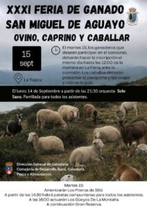 XXXI Feria de ganado San Miguel de Aguayo 2026