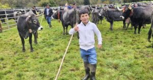 Cantabria recuperará las ferias de ganado bovino a partir del 1 de noviembre